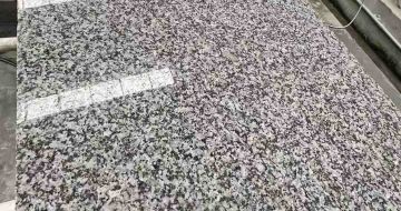 吉林省 芙蓉白光面