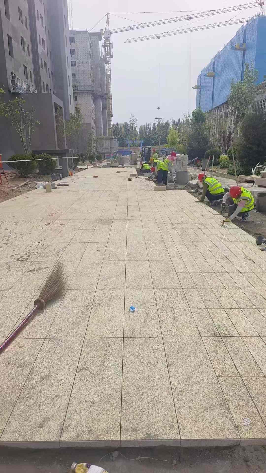 吉林省黄金麻荔枝面地铺案例