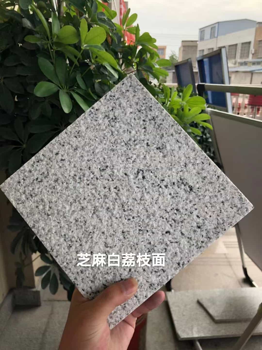 吉林省 芝麻白荔枝面干挂