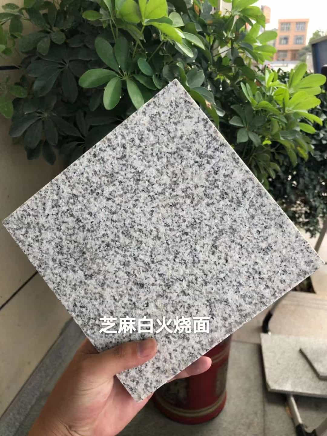 吉林省芝麻白火烧面地铺